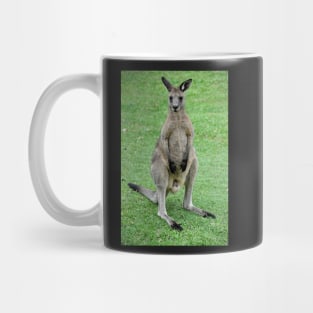 Australie - Newcastle, Kangourou Mug